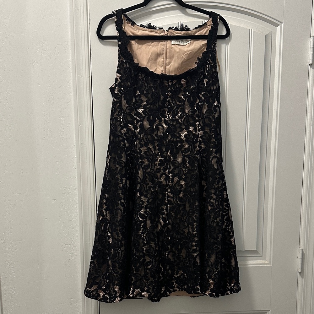 Eliza J Black Lace Sleeveless Dress